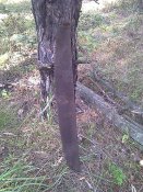 IMAG0345.jpg