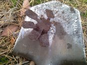 IMAG0425.jpg