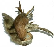 Вольпертингер (Wolpertinger)