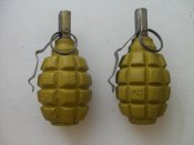 CIMG8740.jpg