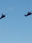 IMG_20190921_160141.jpg