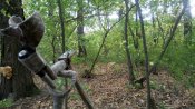 DSC_3715.JPG