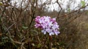 DSC_3748.JPG