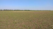 IMG_20190806_101503.jpg