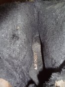 DSC00213.JPG