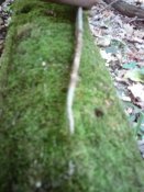 IMG_20190924_162629.jpg