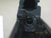IMG_2495.jpg