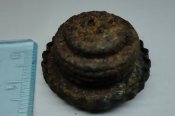 DSC03214.JPG