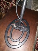 IMG_20190925_084340.jpg