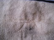 DSCN6728.JPG
