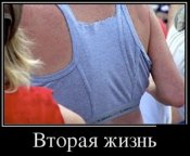 трусы (2).jpg