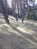 IMG_20190924_120622.jpg