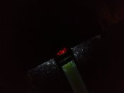 IMG_20190927_214105302.jpg