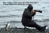 FOTO.JPG