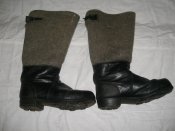 CIMG2114_hf.jpg