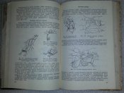 Парашютный спорт. 1952, Лукин А.М оборонгиз