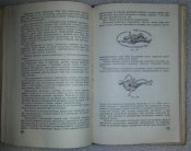 Подготовка парашютиста 1954, Б. Петров, Н. Лобанов, А. Белоусов