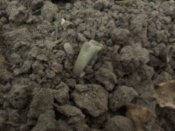 IMG_20190928_174740.jpg