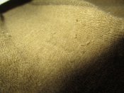 IMG_9180.JPG