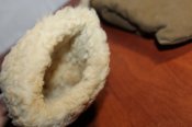 IMG_2967.JPG