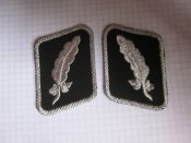 Петлицы Штандартенфюрера.