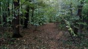 IMG_20191004_171104.jpg