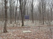 SDC13278.jpg