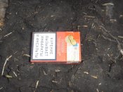SDC13281.jpg