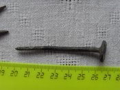 SDC13300.jpg