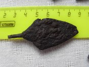 SDC13306.jpg