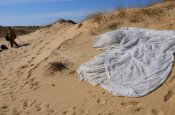 DSC_0202.JPG
