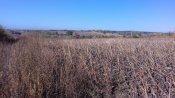 20191002_091907.jpg