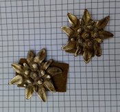 Эдельвейс нашивка 4,5 см. 2 шт.