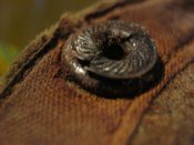 06-IMG_7720.JPG