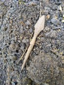 IMG_20191003_143930.jpg