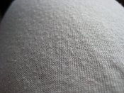 IMG_3734.JPG