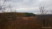 IMG_20191007_161842.jpg
