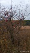 IMG_20191007_164350.jpg