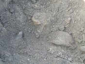PA166068.JPG