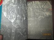 Между виселицей и амнистией