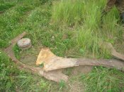 DSC00013.jpg