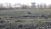 DSC01492.JPG