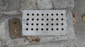 IMAG2575.jpg