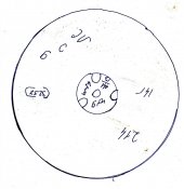 IMG.jpg