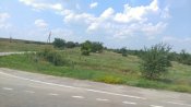 IMAG8712.jpg