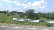 IMAG8713.jpg