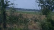 IMAG8722.jpg