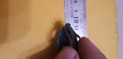 20191010_064447.jpg