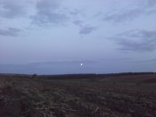 IMG_20191011_182301.jpg