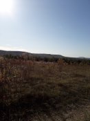 20191013_150718.jpg